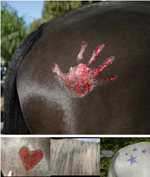 Sparkle paint for horses